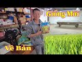 Linh Philip || Giống Mới Đặc Biệt Từ Việt Nam Lần Đầu Tiên Có Mặt Tại Châu Phi !!!