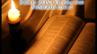 Biblia Hablada-BIBLIA REINA VALERA 1960-NUMEROS CAP.17