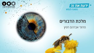 מלכת הדבורים