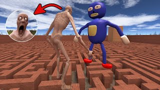 SCP-096 VS SONIC 3D MEMES IN MAZE in Garry's Mod!