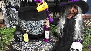 Thompson Street in Bordentown Goes All Out for Halloween with Witch Theme - Behind the Scenes