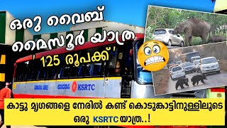 125 രൂപക്ക് ഒരു വൈബ് മൈസൂർ യാത്ര | Goodaloor to Mysore Ksrtc | കൊടുംകാട്ടിലൂടെ ksrtc യിൽ മൈസൂർ യാത്ര