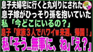 【スカッと】息子夫婦宅に行くと丸刈りにされた息子嫁が薄暗い部屋でひっそり孫を抱いていた。私「今どこ？」息子「家族3人でハワイw来週に帰国するから！」私「そう…無事に、ね「え？」【感動する話】