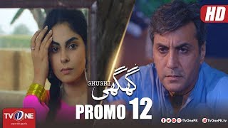 Ghughi Episode 12 | Promo | TV One | Mega Drama Serial | 5 April 2018