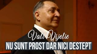 Vali Vijelie - Nu sunt prost dar nici destept (Live Music) 2024