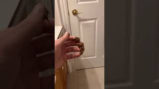 NUTELLA POO PRANK ON MY MOM! #shorts