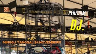 Burung stabil ya DJ‼️ Main 2 event masih ada cintanya 👏🏻