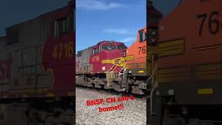 Rainbow power on BNSF EB intermodal! (BNSF, CN and bonnet)