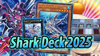 Shark 2025 DECK TESTING (Post VX05)