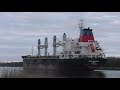 stunning cargo ships ship spotting in germany