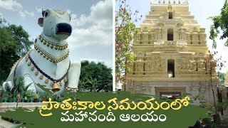 MAHANANDI TEMPLE IN EARLY MORNING || ప్రాతఃకాలంలో మహానంది ఆలయం || LATEST || TRENDING || 2024 ||