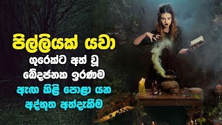 පිල්ලියක් යවා ගුරෙක්ට අත් වූ ඛේදජනක ඉරණම | Ancient mysterious methods of Sri Lankans