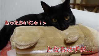 湯たんぽをプレゼントしてみました！【保護猫ロコの日常】