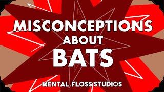 Misconceptions About Bats | Mental Floss
