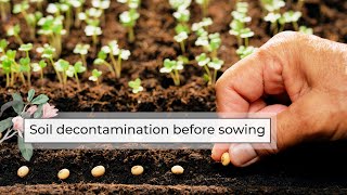 Soil Decontamination Before Sowing | Soil for Seed Germination