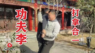 功夫李”打拿合一“【实战教学】