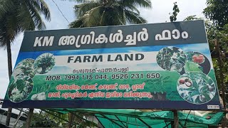 KM അഗ്രികൾച്ചർ ഫാം#FARM LAND#പെരുമ്പടപ്പ്/പുത്തൻപള്ളി #Video Vlog#travelling #SHAZFAZ WORLD