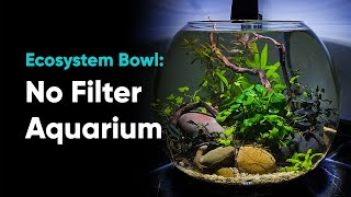 Planted Bowl Aquarium  - No Filter, No CO2, No Maintenance, No Water Changes!* Aquascape Tutorial