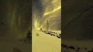 Mesmerizing Northern Lights Over a Snowy Arctic Wonderland|Best Aurora Borealis Views#NorthernLights