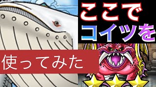 【dqmsl 】ケトス実戦！魔界☆3で通用するのか！？