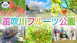 【山梨】秋を満喫する甲府ツアー『笛吹川フルーツ公園ほか』Fuefukigawa Fruit Park - JAPAN VLOG