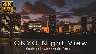 TOKYO Night View (Kachidoki Miharashi Park) 東京夜景（勝どき見晴らし公園）