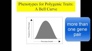 Single Gene vs. Multi-Gene Traits