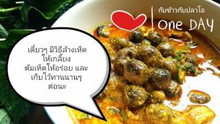 Signature Thai Food - แกงคั่วเห็ดเผาะ