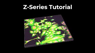 Z-series tutorial using NIS-Elements