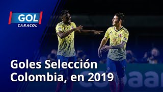 ¡Los regalos de la Selección Colombia en 2019! Estos fueron todos los goles de la ‘tricolor’