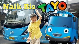 Saif Naik Tayo The Little Bus - For Kids