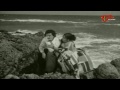 maro charitra movie songs ye teega puvvuno female video song kamal hasan saritha