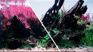 Thorough Planted Aquarium MAINTENANCE Session | Relaxing Video