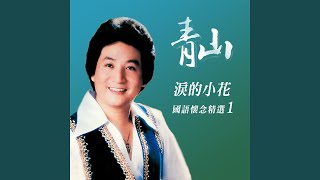 綠島小夜曲