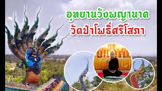 วัดป่าโพธิ์ศรีโสภา อุทยานวังปู่ ภุชงค์นาคราช