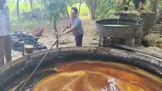 Organic jaggery cultivation