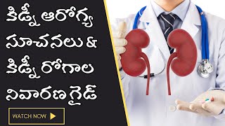 కిడ్నీ ఆరోగ్య రహస్యాలు! 🩺 మీ కిడ్నీలు ఎప్పుడూ ఆరోగ్యంగా ఉండాలంటే?