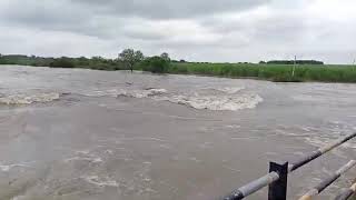 Manjara river latur / #shorts / #shortsvideo