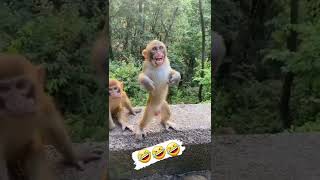 pushpa raj funny video.  🙄😃. Happy status 420