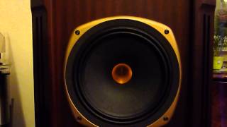 Il Leben CS600 suona con le Tannoy Kensington