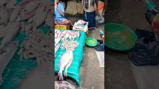 Villupuram market #beautiful #shorts #fish #whatsappstatus