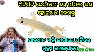 ଜାଣନ୍ତୁ ଝିଟିପିଟି କେଉଁ ଅଙ୍ଗରେ ପଡିଲେ କି ସଂକେତ ଦେଇଥାଏ, କେଉଁଠି ପଡିଲେ ଧନ ଲାଭ, ଶତ୍ରୁ ନାଶ