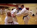 bunkai the practical application of karate kata — jesse enkamp