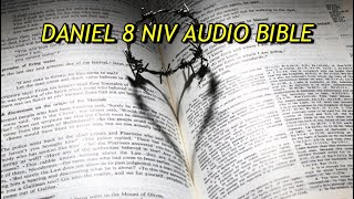 DANIEL 8 NIV AUDIO BIBLE(with text)