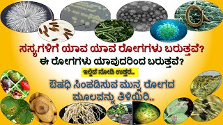 ಬೆಳೆಗಳಿಗೆ / ಸಸ್ಯಗಳಿಗೆ ಯಾವುದರಿಂದ ರೋಗಗಳು ಬರುತ್ತವೆ  : ಸಸ್ಯ ರೋಗಕಾರಕಗಳು | Plant Pathogens in Agriculture