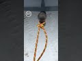 simple hitch from the rope shorts knot