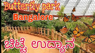 Bannerghatta butterfly park ll ಬೆಂಗಳೂರು ಬಟರ್ಫ್ಲೈ ಪಾರ್ಕ್ll ಬನ್ನೇರುಘಟ್ಟ ಚಿಟ್ಟೆಗಳ ಉದ್ಯಾನವನ  l Bangalore