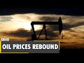 World Business Watch: Oil prices recover from a plunge day earlier | Latest World English News |WION