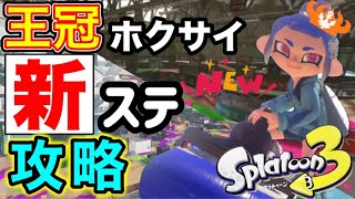 【新ステ攻略‼️】王冠👑ホクサイ使いが新ステージで無双してみた‼️【スプラトゥーン3】