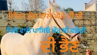 ਲਓ ਜੀ ਕੌਰ ਬੀ ਵਛੇਰੀ ਦੀ ਭੈਣ ਨੁਕਰੀ ਵਛੇਰੀ ਤੇ ਲਾਰੇ ਘੋੜੇ ਦੀ ਬੱਚੀ